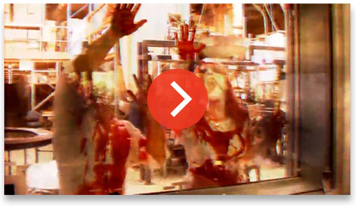 Click to play video fakeblood video