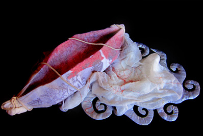 Boat People Origami Memorial Sally Atkins winning piece