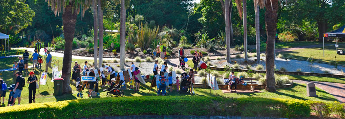 Romp in the Park early morning romp 2015